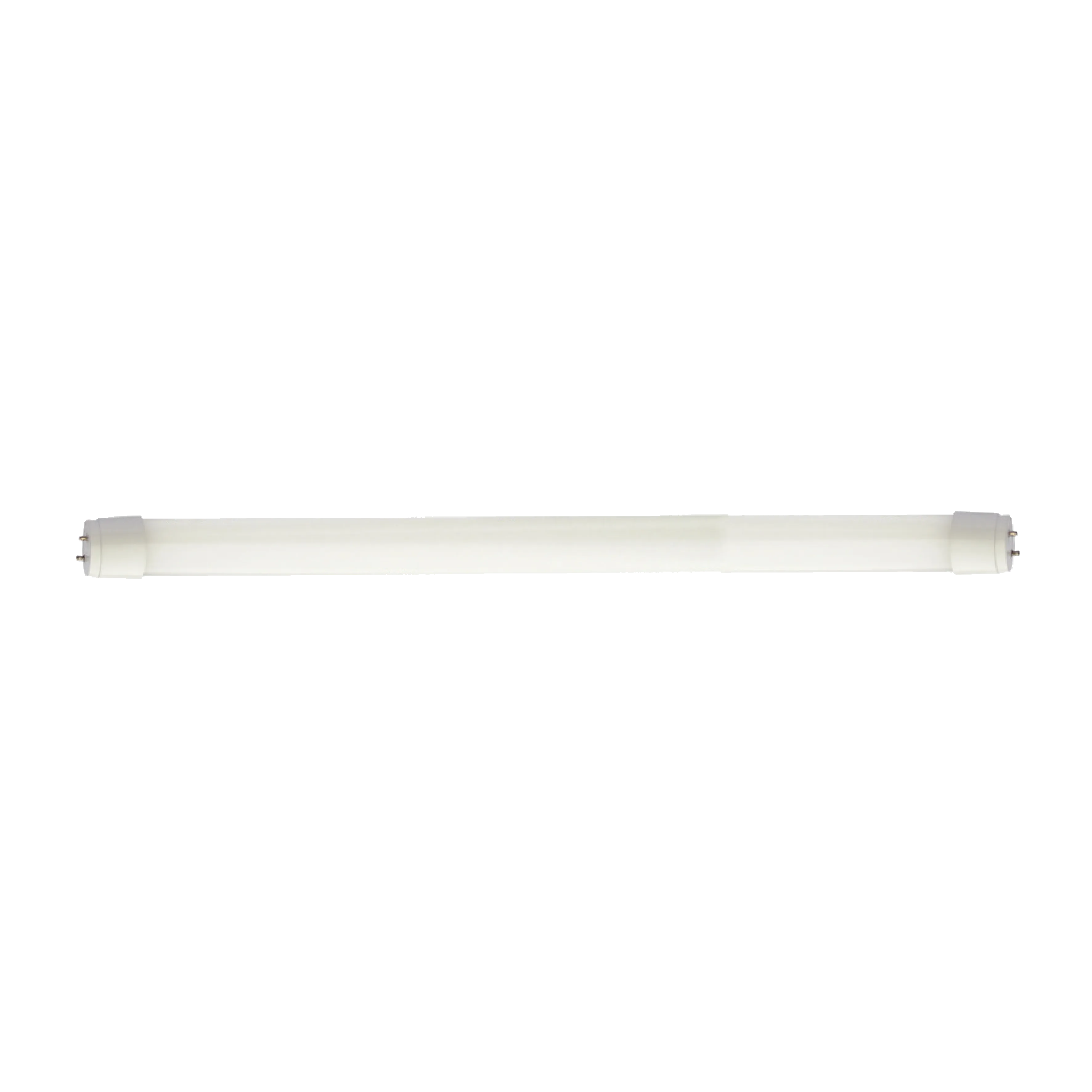 T8 - TUBE